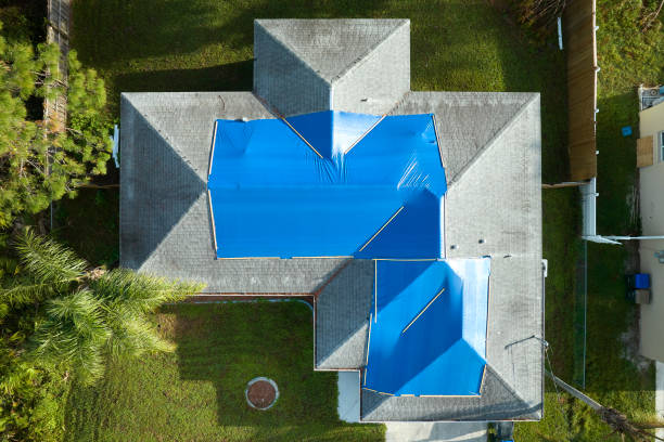 Best Roof Maintenance and Cleaning  in Glandorf, OH